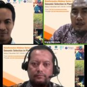 Pentingnya Bioinformatika dalam Seleksi Genomik bagi Proses Pemuliaan Tanaman