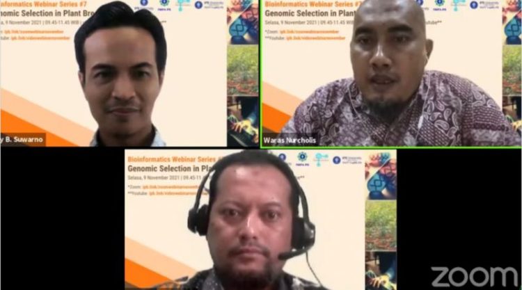 Pentingnya Bioinformatika dalam Seleksi Genomik bagi Proses Pemuliaan Tanaman